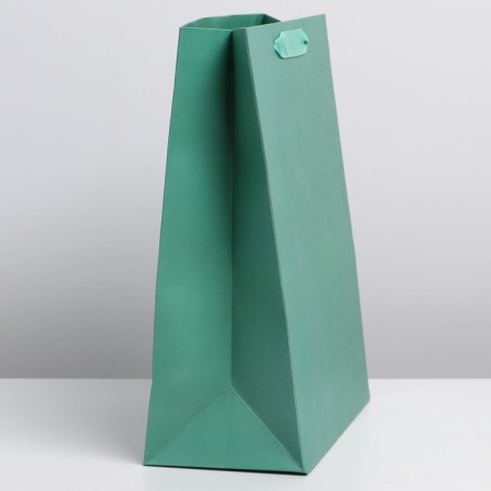 Gift Packet Laminated, packaging, Tiffany, Ml 23 x 27 x 11.5 cm-1