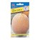Melon seeds "Augustine" F1, 3 pcs