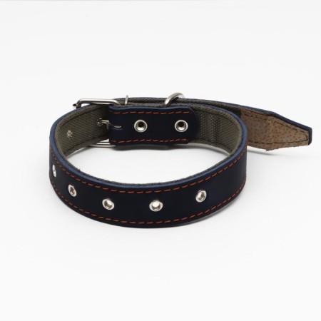 Collar combined leather/tarpaulin, dimensionless, 70 x 3.5 cm, Osh 25-60 cm, blue