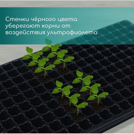 Cassette for growing seedlings, 200 cells, 7 ml, of plastic, black, 55 × 28 × 4 cm, Greengo-1