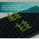 Cassette for growing seedlings, 200 cells, 7 ml, of plastic, black, 55 × 28 × 4 cm, Greengo