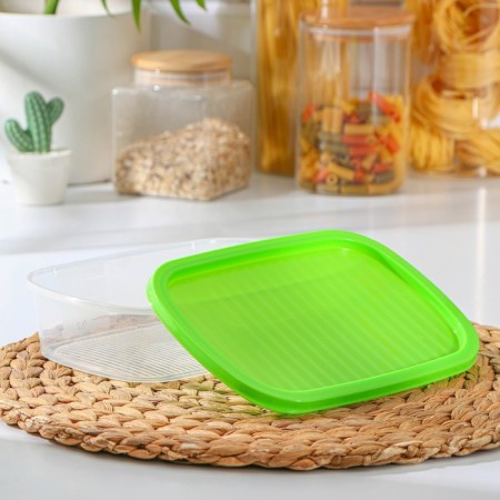 A set of food containers "Biofresh", 3 pcs: 500 ml, 1 l, 1.6 l, color mix-2