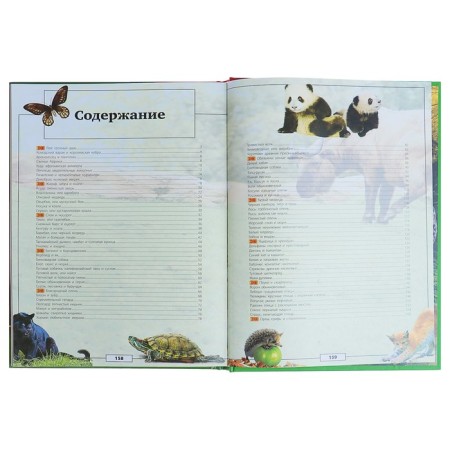 Animals of our planet. Koshevar D.V., Papunidi E.A.-5
