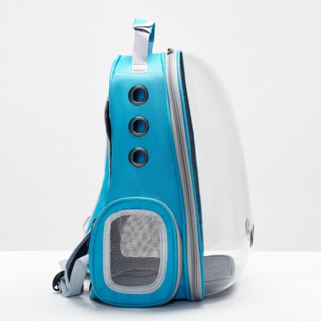 The backpack for carrying animals is transparent, 31 x 28 x 42 cm, blue-1