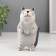 Souvenir Ceramics "Gray cat with heart in peas" 8.2x7.8x15 cm