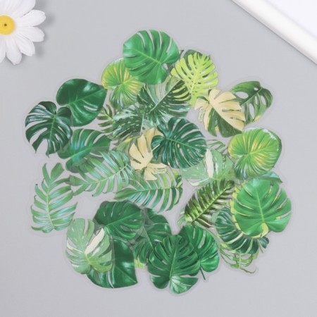 Stickers for creativity plastic "Palm leaves" set 40 pcs 0.3x8x14.8 cm