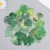 Stickers for creativity plastic "Palm leaves" set 40 pcs 0.3x8x14.8 cm