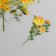 Stickers for creativity PLC PVC "Solar Polyana" set 40 pcs 9x10.5 cm