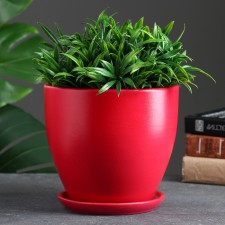 Flower pot 