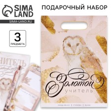 Golden teacher gift set: A5 diary, 80 sheets, stickers and ballpoint pen, blue pasta