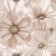 Wallpaper Paper duplex "Sandy" C6-D822-02, 0.53x10.05m