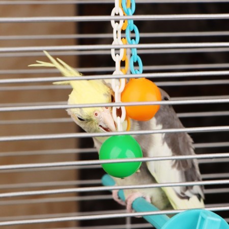 Toy for birds "rattle", mix-1