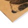 Universal diary for grades 1-11, 48 sheets "Crazy Panda", soft cover, selective UV-fluid, matte lamination