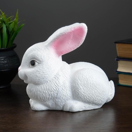 Piggy bank "Bunny" White, 18x11x15cm-10