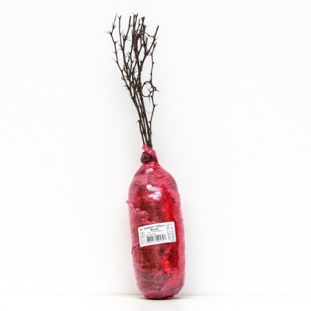 Barberry Tunberg Lux "Venis", 1 pc, tube, spring 2024-2