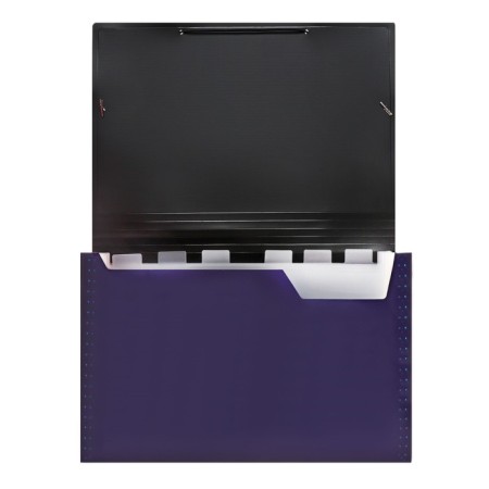Folder file Calligrata Top Deluxe 13 Department. A4 plastic 1.0mm black. Cut in color-3