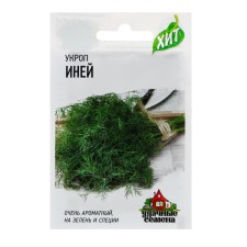 Seeds of dill 