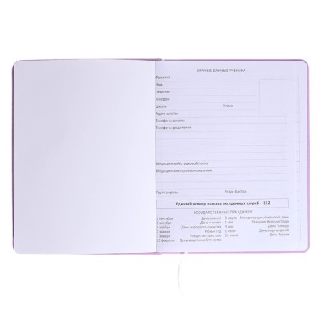 Universal diary for the 1-11 grade Unicorn Friends, solid cover, artificial leather, foam rubber, liesse, 80 g/m2-3