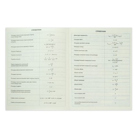 Universal diary for grade 1-11 Croco Feel Inspired, solid cover, artificial leather, foil embossing, liesse, 48 sheets-11