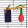 Toy for birds "Geometry", 20 x 15 cm