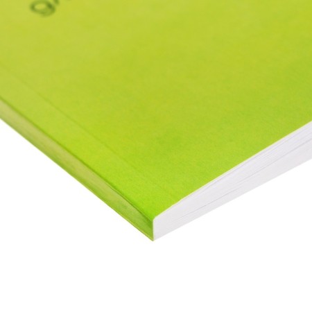 Album for drawing A4, 40 sheets on the gluing "Avocado", covered cardboard, block 100 g/m²-2