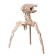 Model Model from LemMo wood “Light. Mir's invasor "