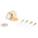 Magnetic "Standard" 926 GP, cannon, European desk, gold gold