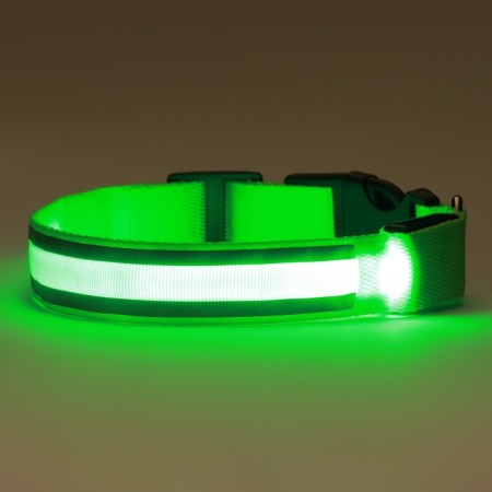 Collar with backlight double strip size XL, Osh 52-60 x 2.5 cm, 3 glow modes Green-11