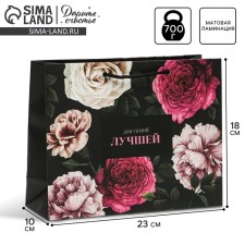 Package Gift Laminated Horizontal, packaging, “for the best”, MS 23 x 18 x 8 cm