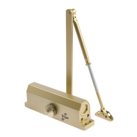 D150GP tundra door closer, up to 150 kg, gold color