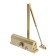 D150GP tundra door closer, up to 150 kg, gold color