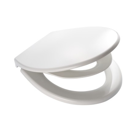Generation toilet seat, with a children's liner