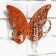 Nast -Windle Organizer "Butterfly"