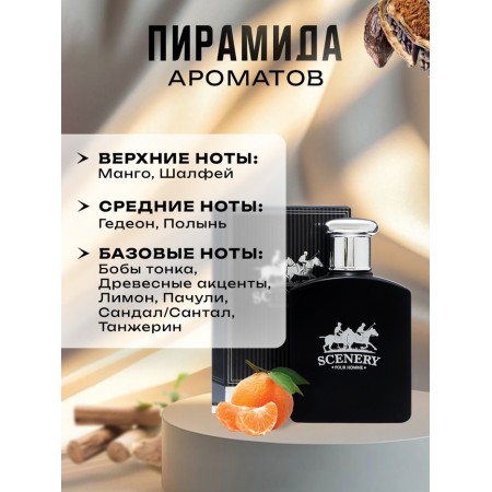 Male toilet water SCENERY, 100 ml-1