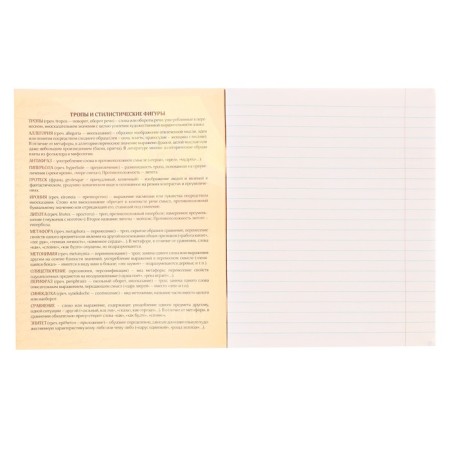 Subject Calligrata Embabula, 48 sheets in the literature line, with reference material, cover coated cardboard, UV-lak, OFSET block-1