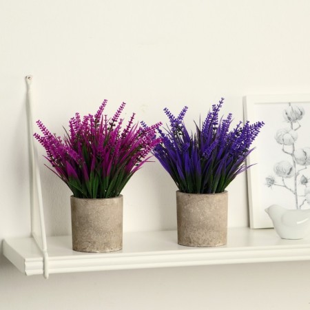 Бонсай в горшке "Лаванда куст" 7,5х19 см, микс-2