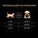 Dry food Pro Plan for cats, salmon/rice, 1.5 kg