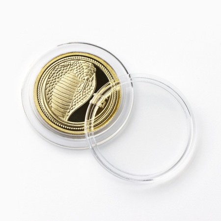 New Year's Coin "Wealth and Happiness" for the New Year, Diam. 2.2 cm-5