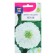 Cinnia flower seeds "Lilliput", white, 0.3 g