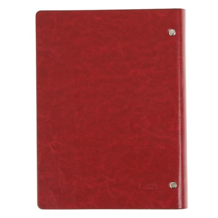 Organizer on the rings "Prestige" A5, 92 sheets in the ruler, leatherette cover, mix-10