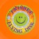 Flying saucer "Frisby" Orange, 23 cm