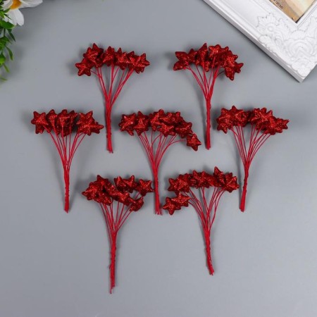 Decor for creativity "Asterisk in sparkles" (1 set = 1 bouquet) in a bouquet 12 pcs 10 cm-2