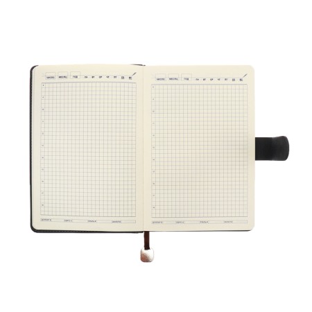The diary of a non -section A5, 140l, cage, K/deputy, with a pen, in gift. box., Gray-13