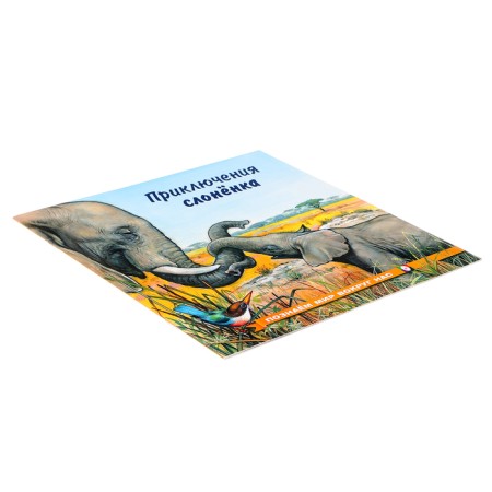 We know the world around us "The Adventures of the Elephant"-3