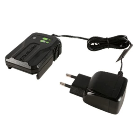 Charger GreenWorks G40UC2M, Slider, 40 V, 2 - 4 A