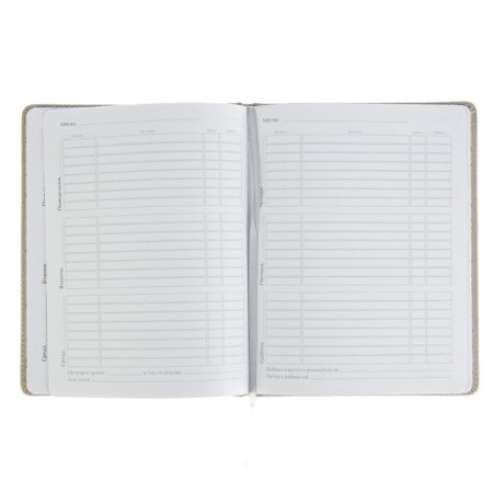 Universal diary for grades 1-11, 48 Velvet sheets, hard cover, artificial leather, thermoting, liesse, block 70 g/m2, light gray-1