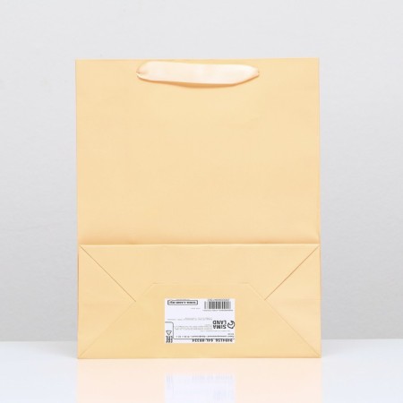 Laminated packet "Beige", 26 x 32 x 12 cm-1