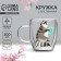 Glass mug with double walls "Raccoon", 300 ml