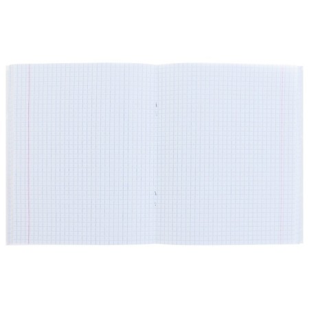 Notebook of 96 sheets in the Calligrata "Neon" cage, covered cardboard, OFSET block, mix-1