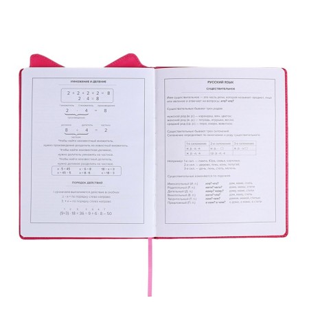 School diary for grades 1-11, boss spitz, firm covered with foam, artificial leather, curly cutting, liesse, universal cheat sheet, 48 sheets, block 80g/m2-10